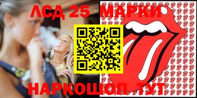 индика Можга