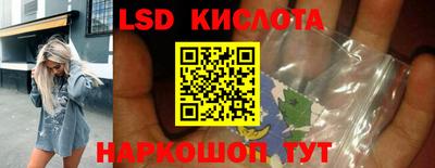 индика Можга