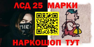индика Можга