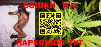 индика Можга