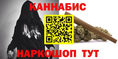 индика Можга