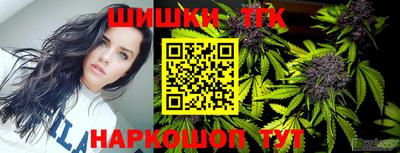 индика Можга