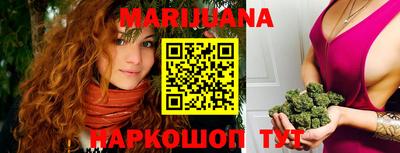 индика Можга