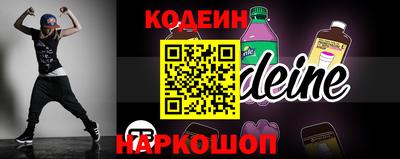 индика Можга