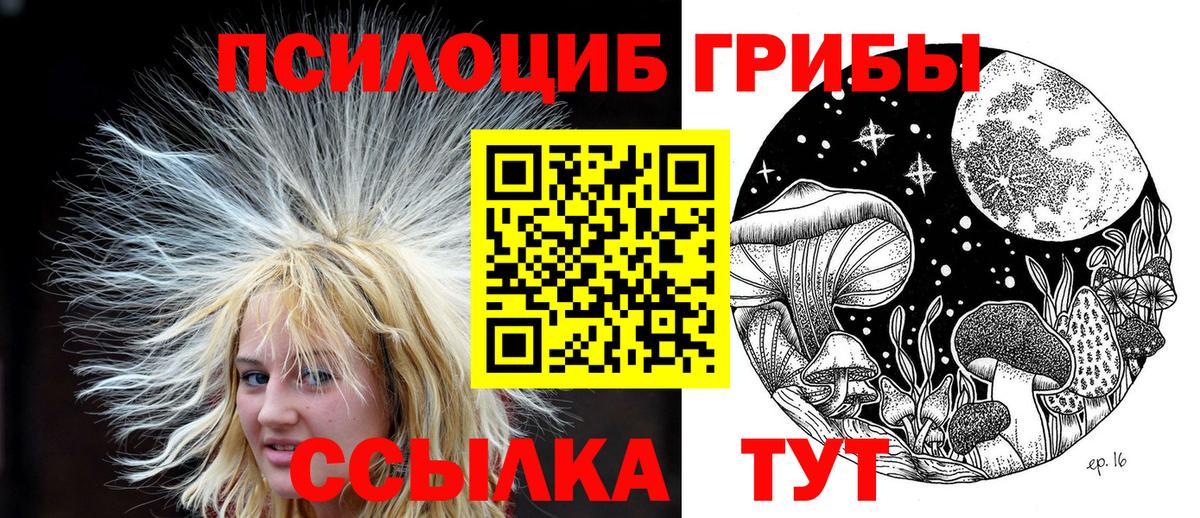Тулун  магазин    Вход с VPN  Псилоцибиновые грибы Psilocybe  Галлюциногенные грибы прущие грибы 